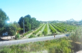 VIEW FROM LOUNGE TERRACE